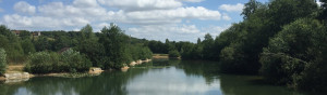 carp fishing rules